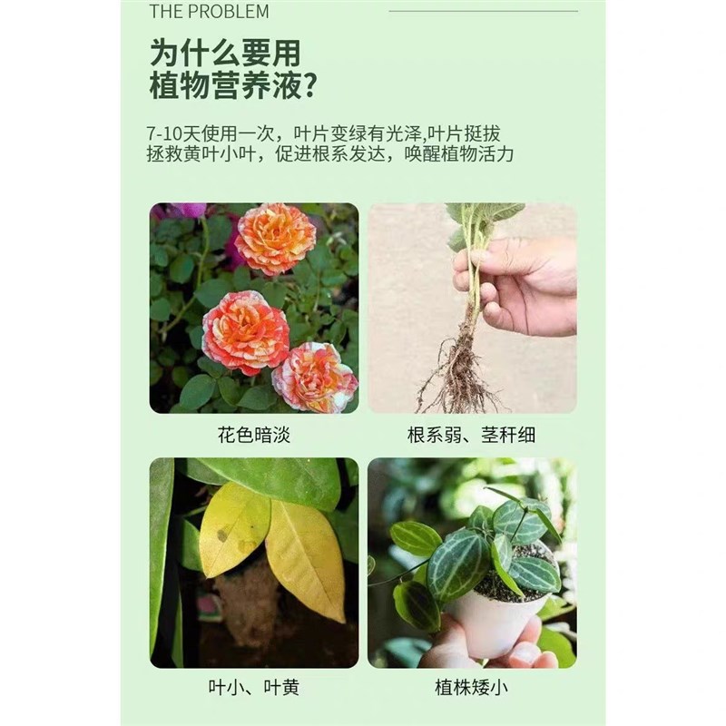 羽化臣号华植物营养液家用盆栽养花发财树金钱树绿植羽花臣二号