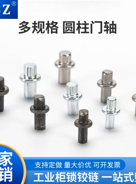 热销CL225-1-2-3铁皮弹簧插销配件定位销 下门轴M4 M5 M6插销底座