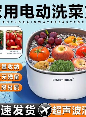 德国洗水果神器震动声波洗菜机家用智能洗菜机全自动大容量洗果蔬