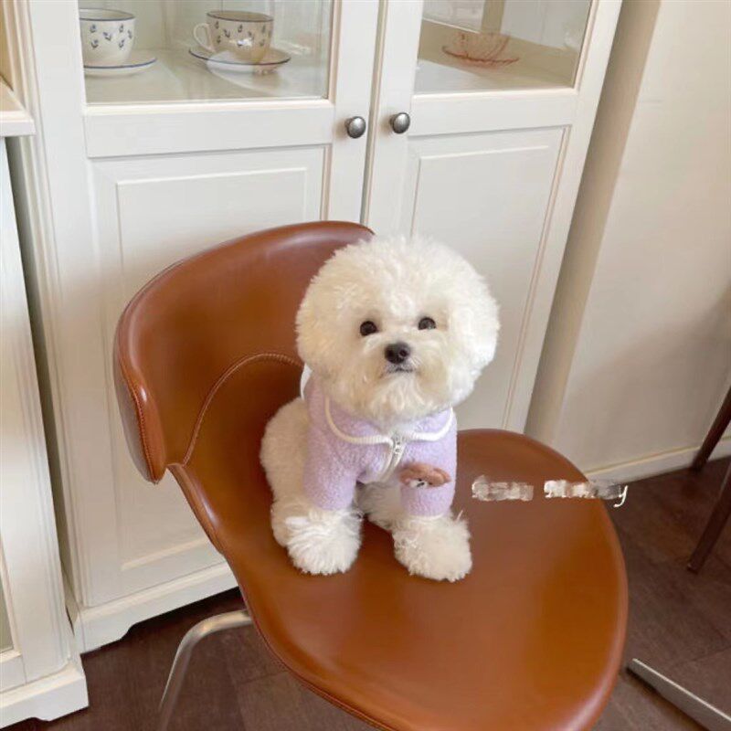 狗狗秋冬天保暖衣服泰迪比熊博美雪纳瑞猫咪宠物中小型犬可爱外套