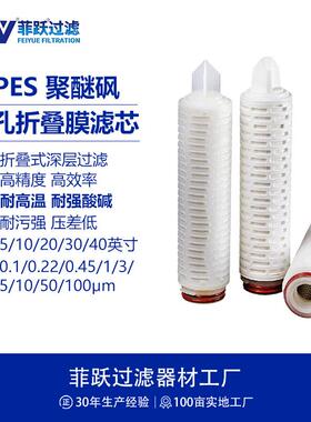 聚醚砜滤芯PES微孔折叠滤芯耐腐蚀耐高温液体除菌蒸汽灭菌滤芯