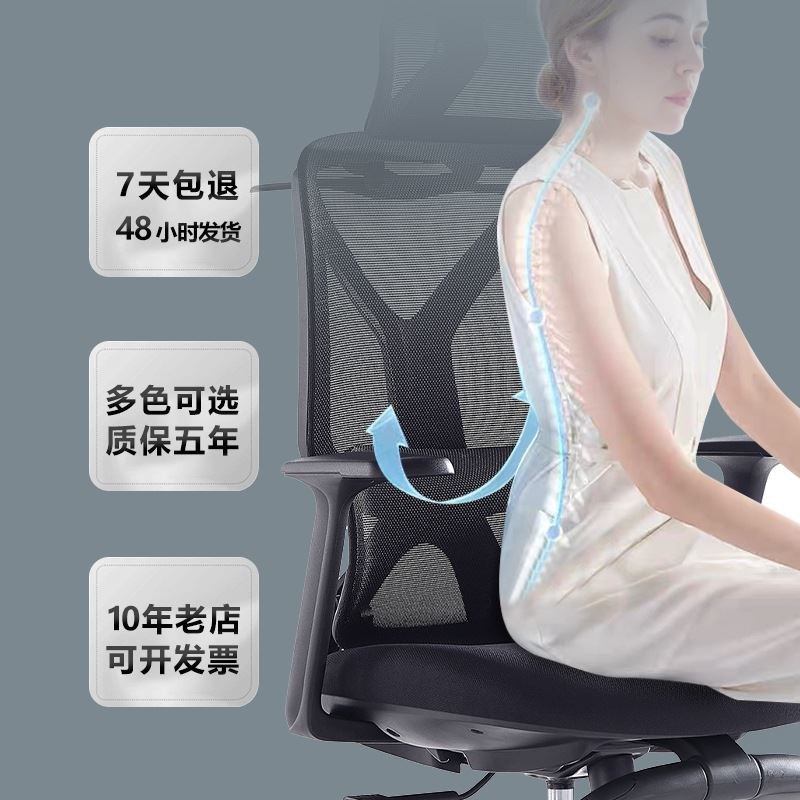 人体工学椅家用电脑椅办公椅子靠背护腰转椅 电竞座椅升降椅宿舍
