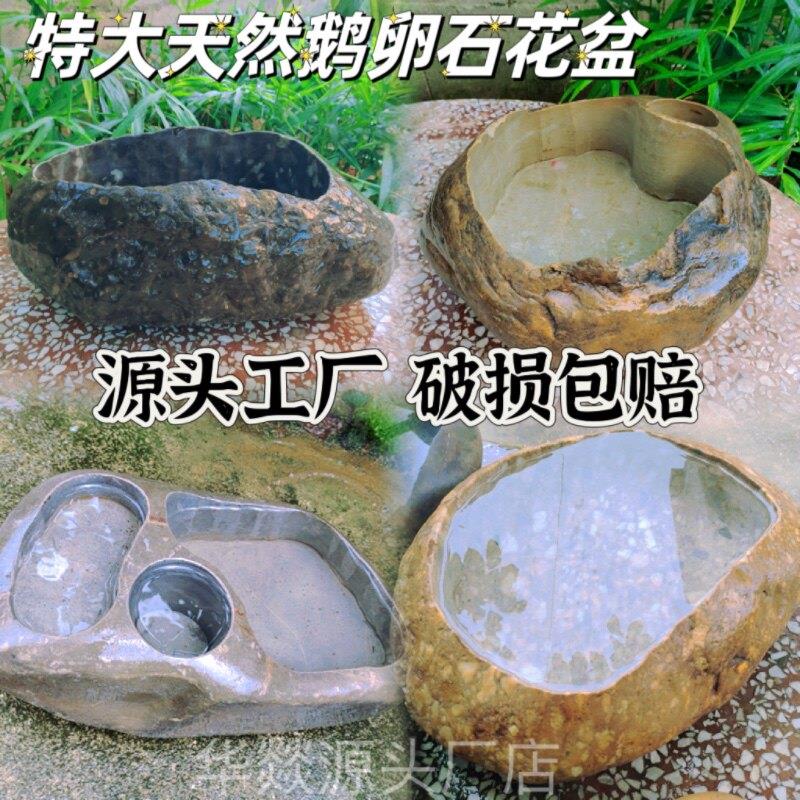 天然石头鱼缸鹅卵石花盆原生态花器菖蒲铜钱草水培原石造景特大号