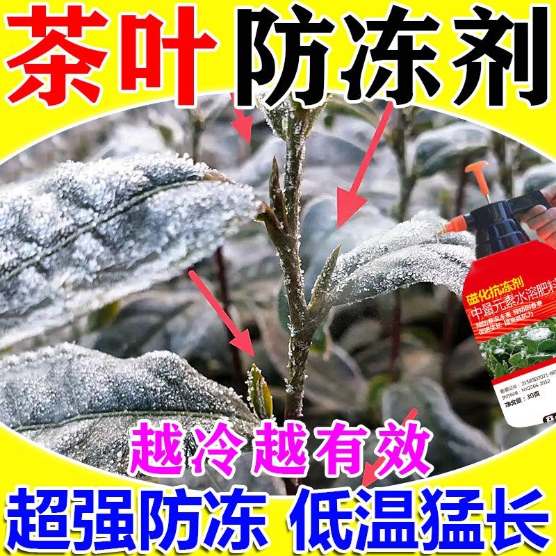 茶叶防冻剂冬季植物防冻防寒保温保暖液罩生根壮苗抗根腐叶子变黄,鲜花速递/花卉仿真/绿植园艺,家庭园艺肥料,淘宝优惠券,粉丝福利购,淘宝优惠卷
