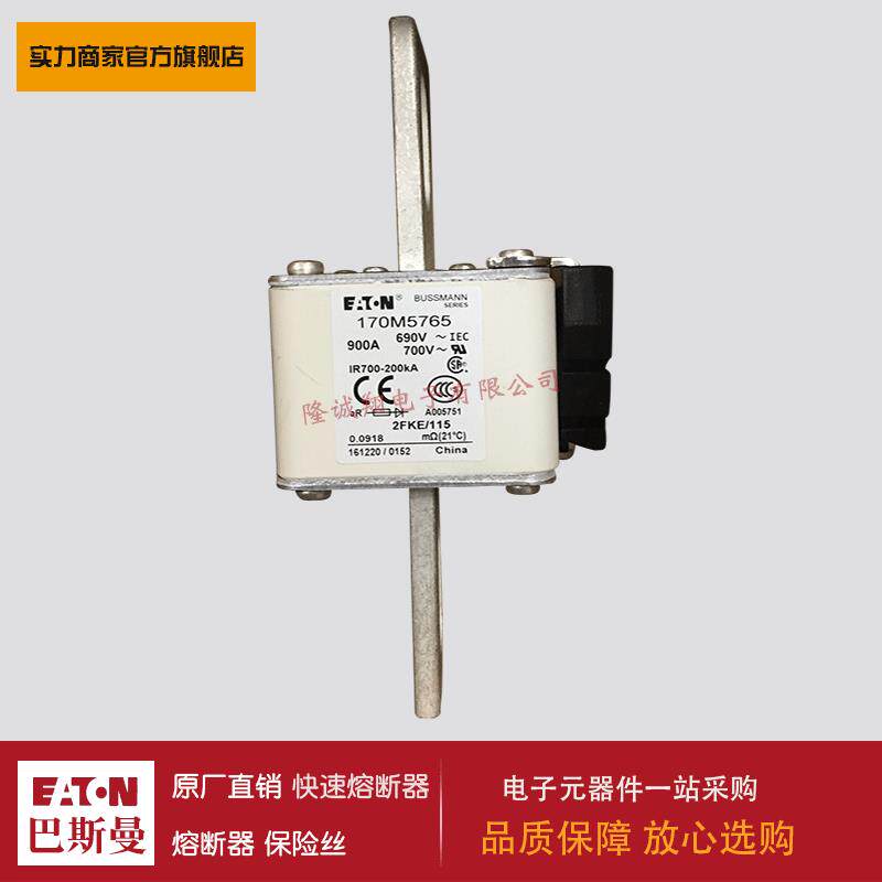 熔断器170M5761 170M5762 170M5763 170M5764 170M5765 170M5766图片