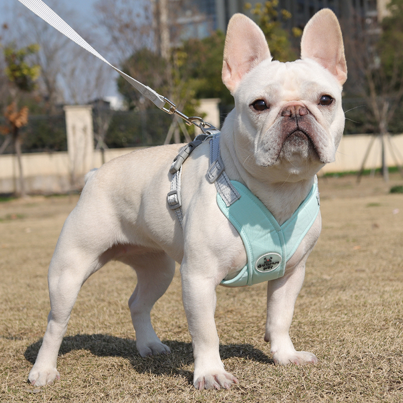 法斗狗狗牵引绳柴犬中小型犬遛狗绳背心式胸抱婴袋柯基巴哥宠物狗