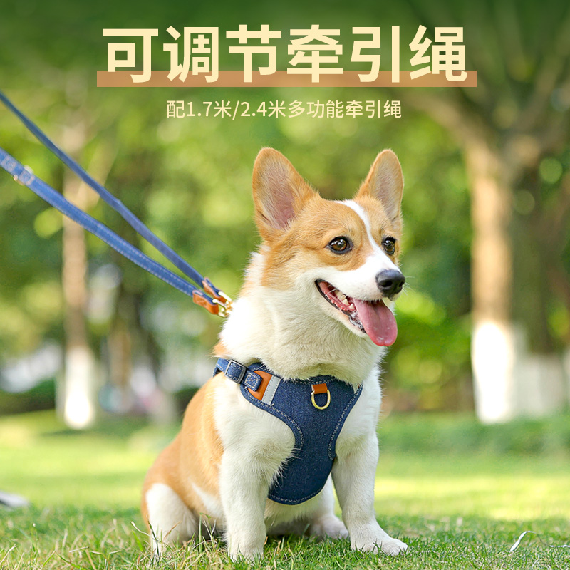 狗狗牵引绳中小型犬柯基法斗防挣脱可调节遛狗绳宠物背心式胸背带
