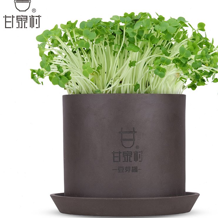 甘泉村紫砂豆芽罐家用豆芽机小型家用发芽厨房神器发绿豆芽花生芽