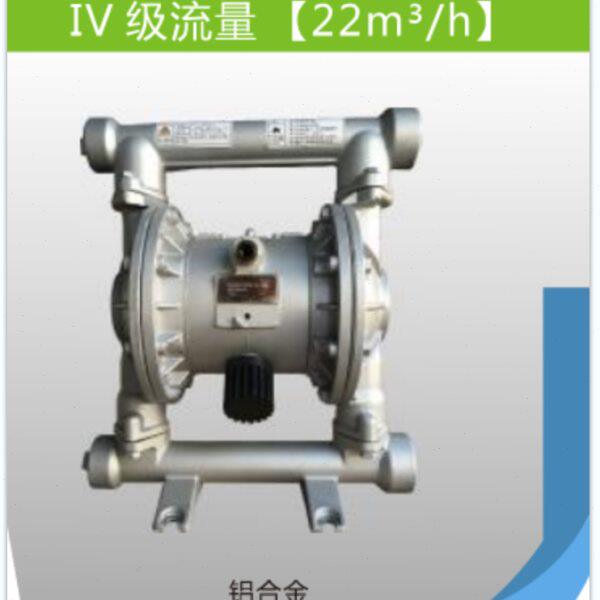南方赛珀 NSQ-65铸钢气动隔膜泵 杭州南方泵业