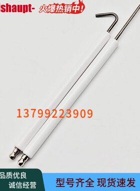 weishaupt离子探针WM-G20 WM-G30/G40威索点火棒WG10/20 WG30WG40