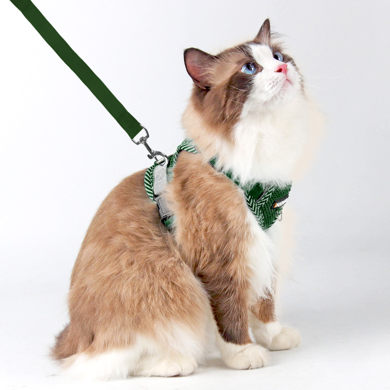 猫咪牵引绳防挣脱外出猫绳子宠物胸背带链子可调节布偶遛猫绳