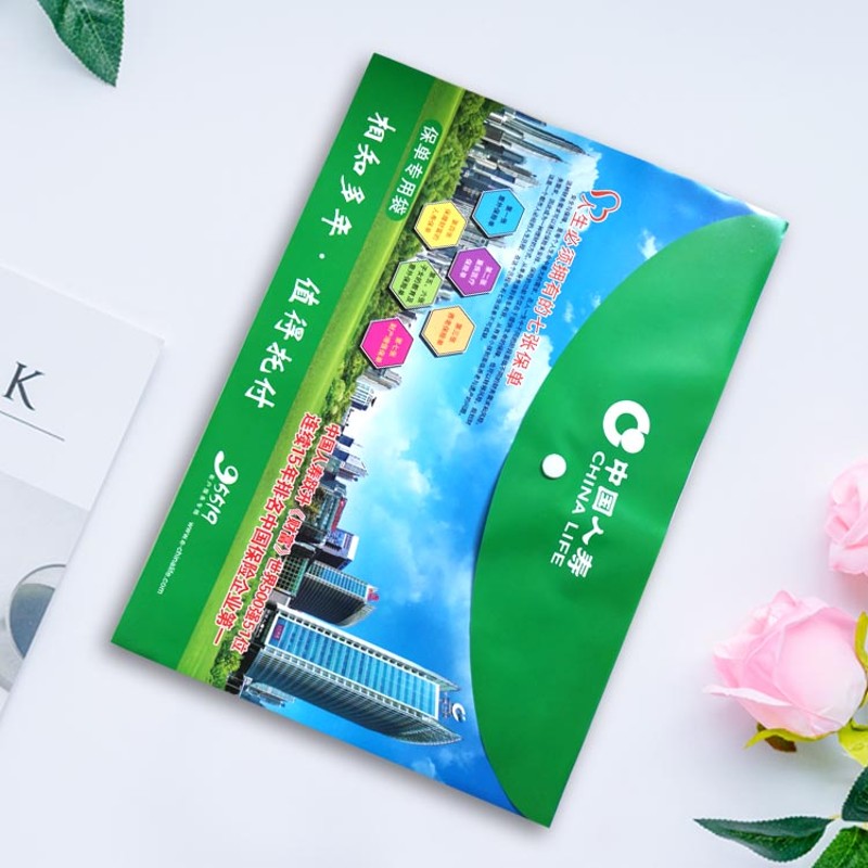 中国人寿保险保单封套袋按扣塑料合同资料袋拉链文件袋礼品文件夹