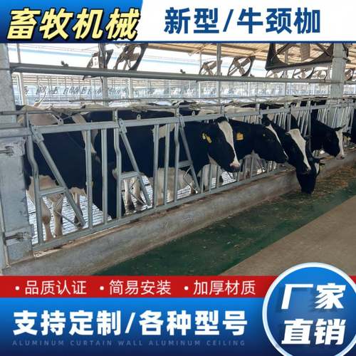 牛颈枷自锁型结实耐用方便灵活牛场设备牧场养殖牛颈夹单开奶牛