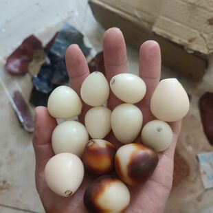 佛心菩提果 白色菩提果现开现做 金包玉果 粉色菩提果 单菩提果