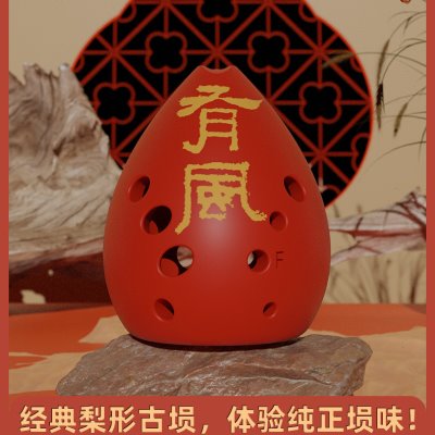 有风堂十孔埙乐器专业演奏树脂埙陶埙入门初学者双腔梨形埙古乐器