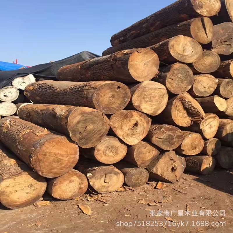 香樟圆木板材木香樟木板料 优良实木家具沙发木板床张家港口