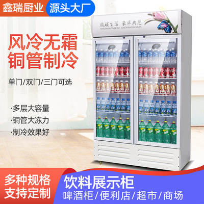 冷藏展示柜商用冰箱超市冰柜饮料啤酒柜单门双门三门立式柜大容量