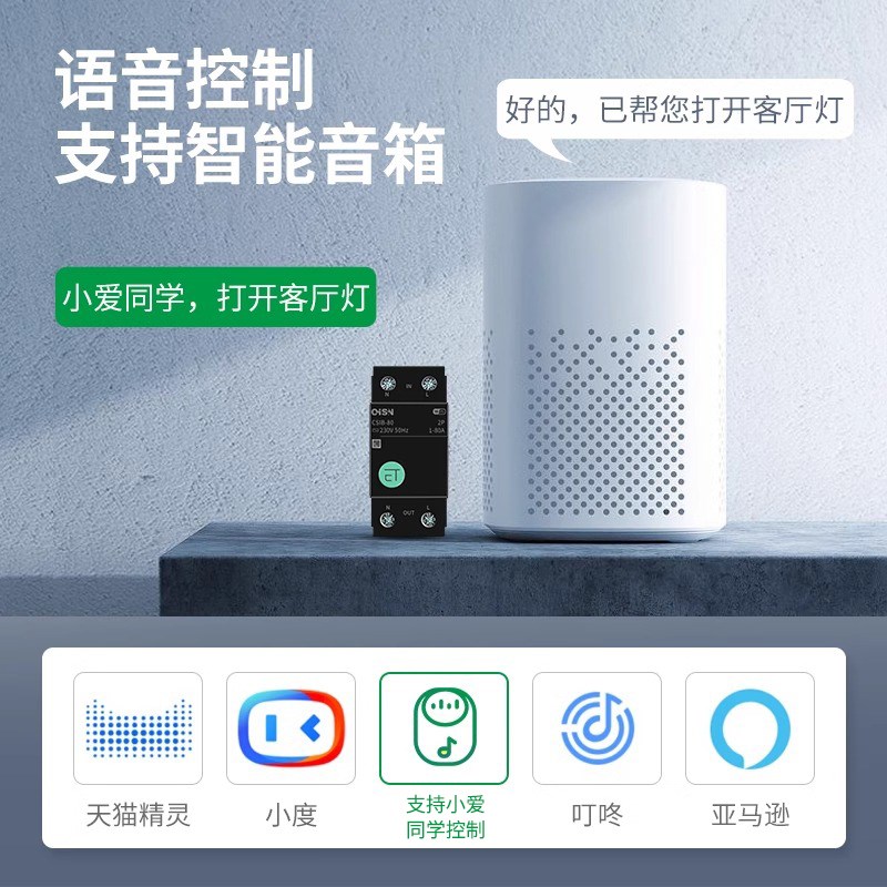 涂鸦智能wifi断路器手机远程电源总闸水泵遥控开关家用空气开关2P