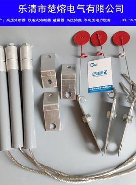 BRN BR2 BRW-10KV/12KV25A30A50P75100A高压并联电容器保护熔断器