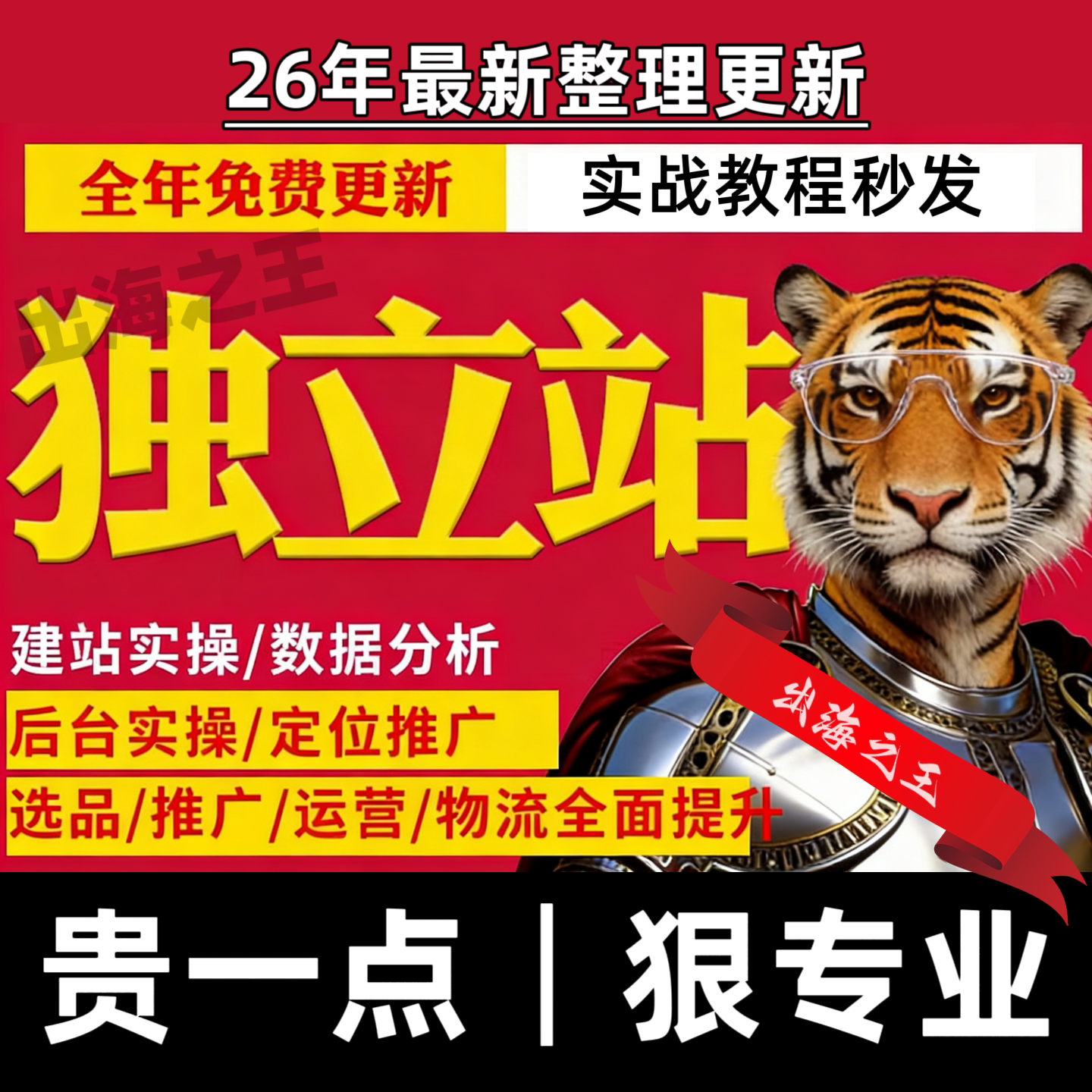 独立站运营教程shopify新手小白学习跨境电商课程资料视频自学