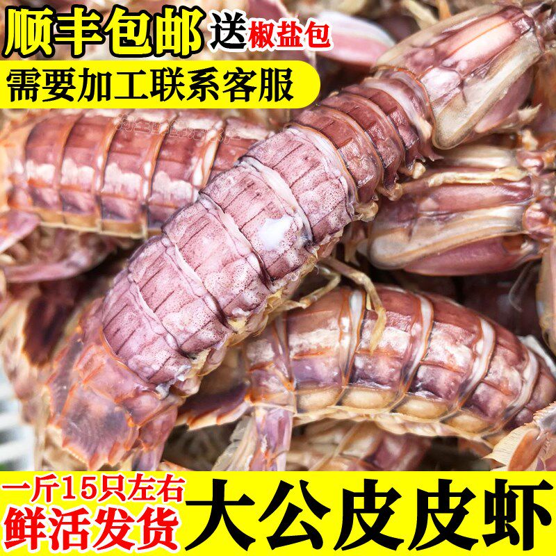 鲜活公虾海鲜虾婆虾姑菇海虾琵琶虾富贵U虾包肥鲜活发货