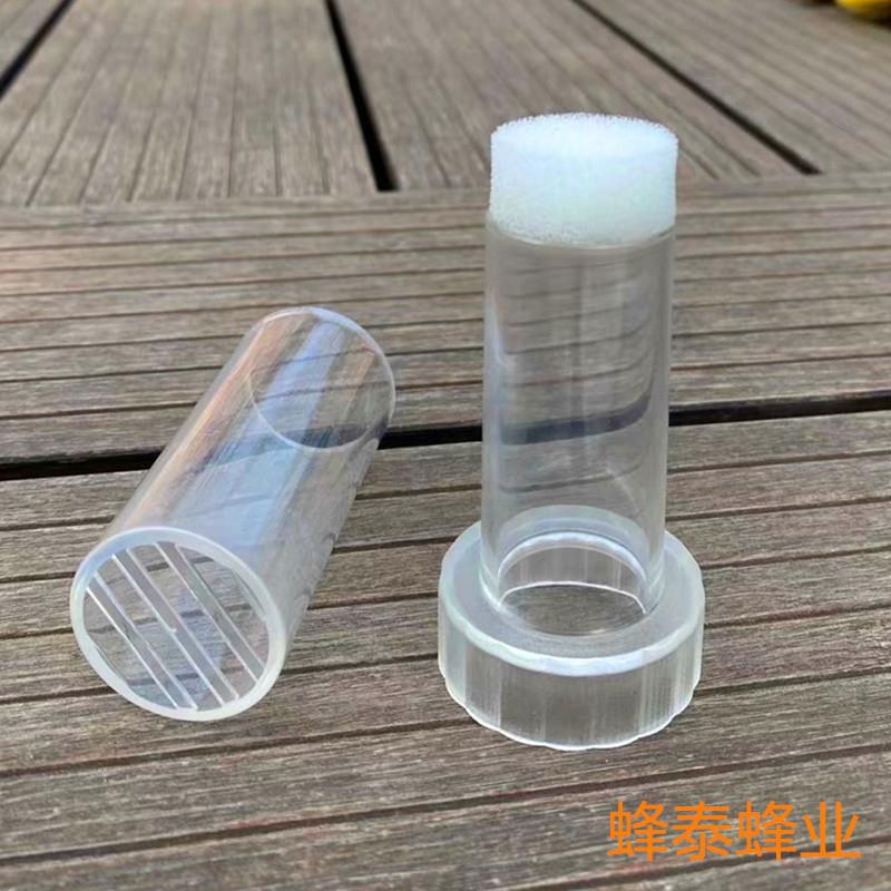 全透明平头蜂王标记蜂王标记子