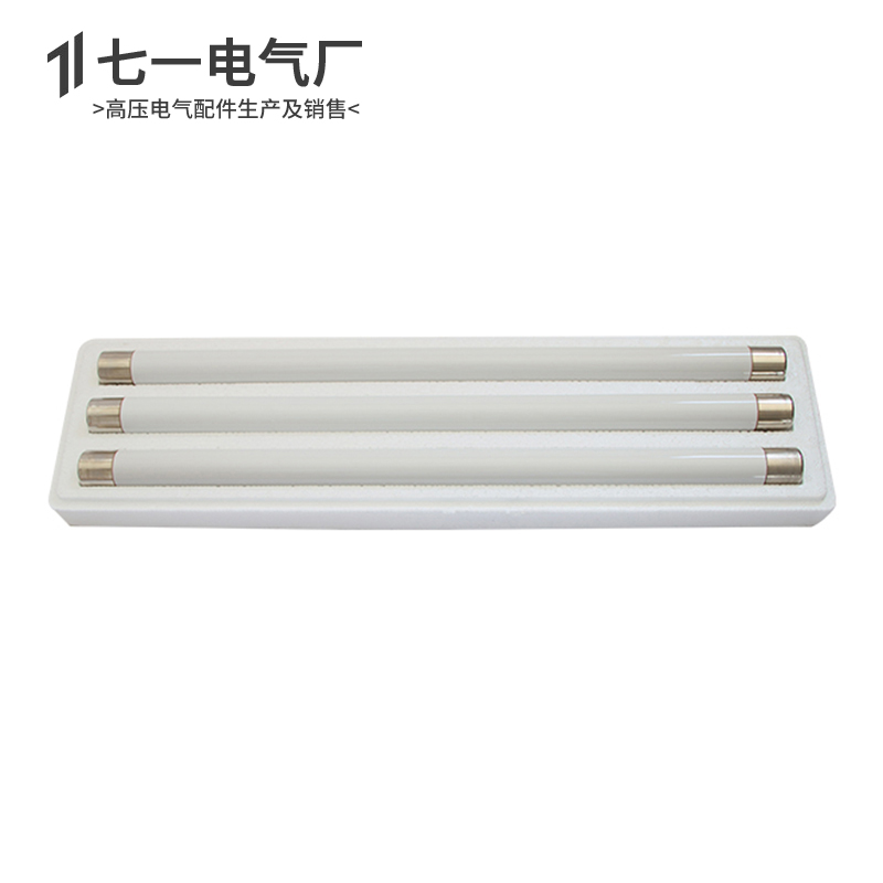 高压限流熔断器XRNP1-10-12KV0.5A1A2A箱变互感器PT保险丝熔管
