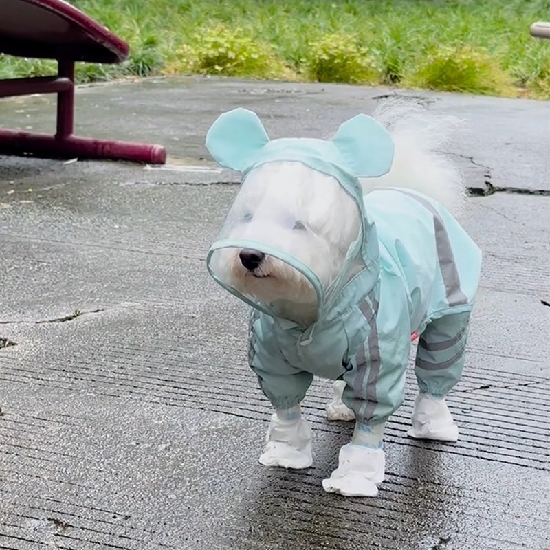 比熊柴犬狗狗连帽雨衣四脚防水全包小型犬斗篷式雨披柯基宠物衣服