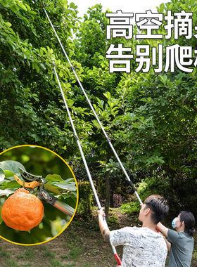 摘果神器高枝剪伸缩高空修枝剪家用摘荔枝龙眼香椿加长摘水果剪刀