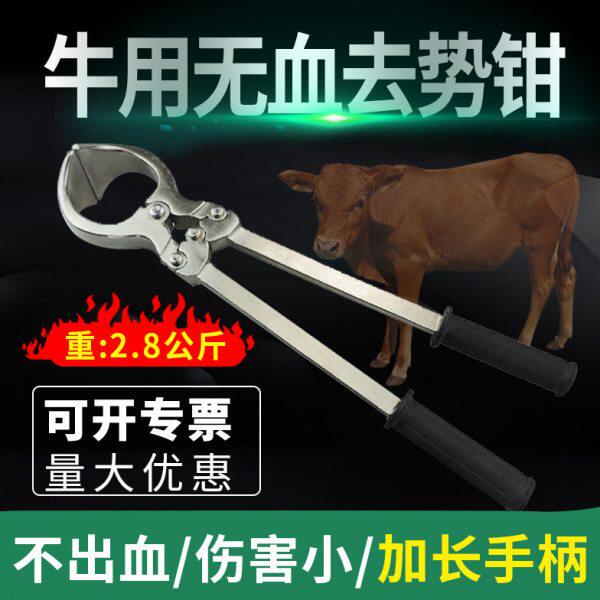 加长加重型牛去势钳煽羊钳无血不锈钢去势钳2.8公斤阉割煽牛钳