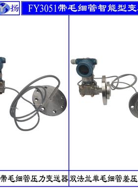 3051GP+1199RFW智能压力变送器带远传装置压力变送器单晶硅