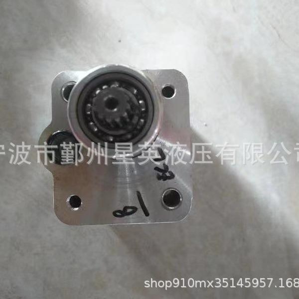 厂家销售可以定制SH280液压泵配件补油泵齿轮泵