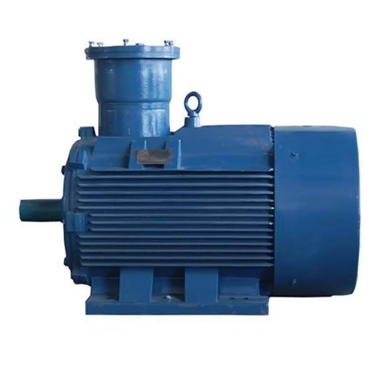 江苏新大力防爆型三相异步电动机YB2CT4-355S-6160W6电机