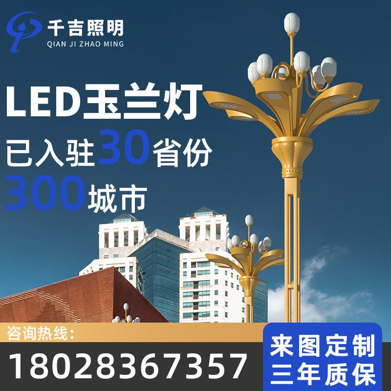 玉兰灯市政广场景观灯8/12米景区led户外灯工程道路中华路灯