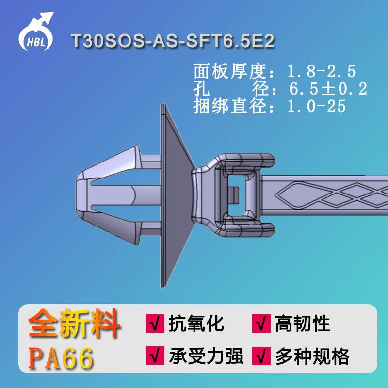T30SOS-AS-SFT6.5E2固定扎带PA66HS异形扎带飞机头固定尼龙扎带