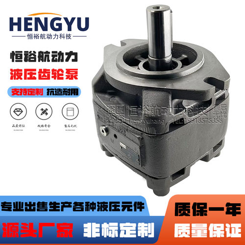 力士乐Rexroth齿轮泵PGH5-21/100RE11VU2 PGH4 PGH3 液压油泵总成