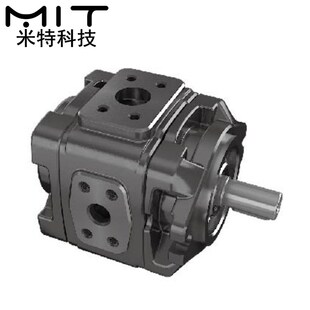 HG21 HG22系列内啮合齿轮泵高压伺服压力油泵P型平键轴液压泵