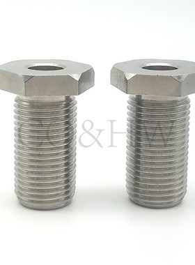 304不锈钢指定型LVFBS8/M10/M12/M16/M20M24M30调整螺栓细牙PAX41