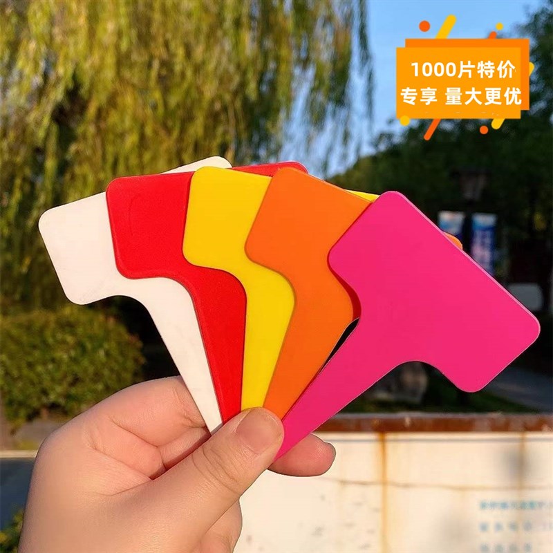 宏荣加厚塑料园艺标签T型花卉标签花卉标牌绿植多肉标签兰花标签