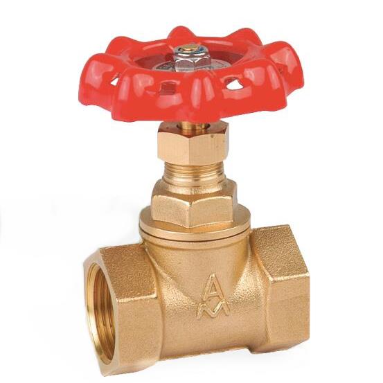 埃美柯截止止回阀301黄铜加厚双用单向止水开关水阀家用防暴总阀