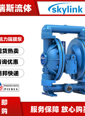 斯凯力气动隔膜泵LS25AA-AA-NE-PP-TT-00耐腐蚀铝合金输送泵1寸