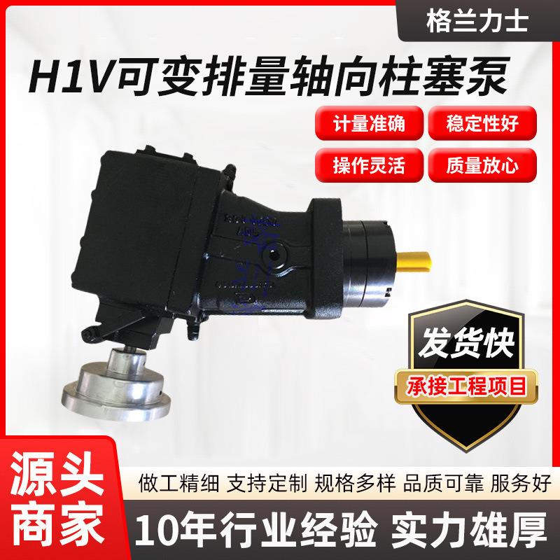 H1V/PV30CDX萨姆Sam高压发泡电动聚氨酯计量泵铸铁材质料液压泵