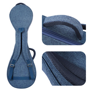 金川亚麻印花琵琶琴包加厚琵琶包便携琵琶琴袋子琵琶套双背包