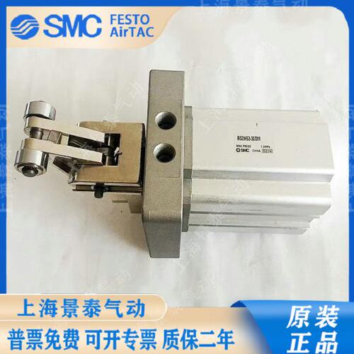 SMC阻挡器气缸RS2H50/63/80-30BM-D-40DL-BL-DM-TL-TM-DC止动气缸