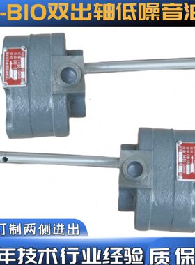两侧进出XCB-B2.5SXCB-B4 XCB-6 XCB-B10S双出轴电动低噪音齿轮泵
