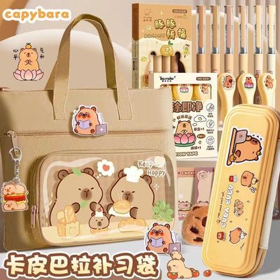 儿童补习袋手提拎书袋小学生帆布包大容量一年级高颜值防水带拉链