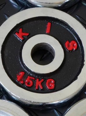 KIS电镀哑铃片小孔片家用健身银色红色配重片配件铸铁片通用举重