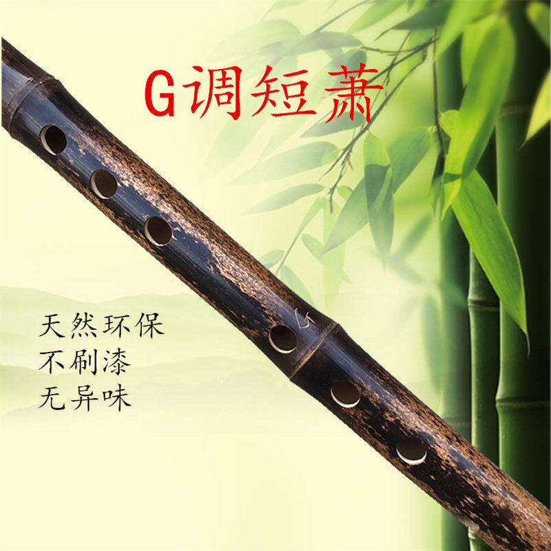 萧乐器初学入门成人零基础萧古萧长萧紫竹箫古风洞箫八孔g调f调
