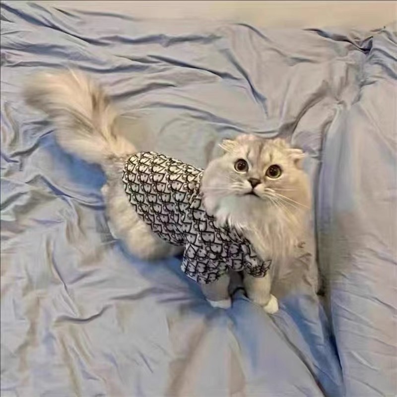 网红宠物服装春夏雪纳瑞泰迪比熊博美狗狗猫咪潮牌衬衣小型犬衣服