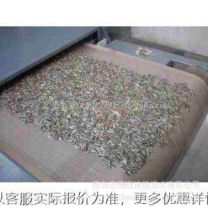 小型瓜子烘干机 微波西瓜瓜籽烘干设备 流水线南瓜子微波烘干机